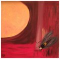 NATURE: the sun and the FLY. Original fine art - Acrylic Painting on Canvas